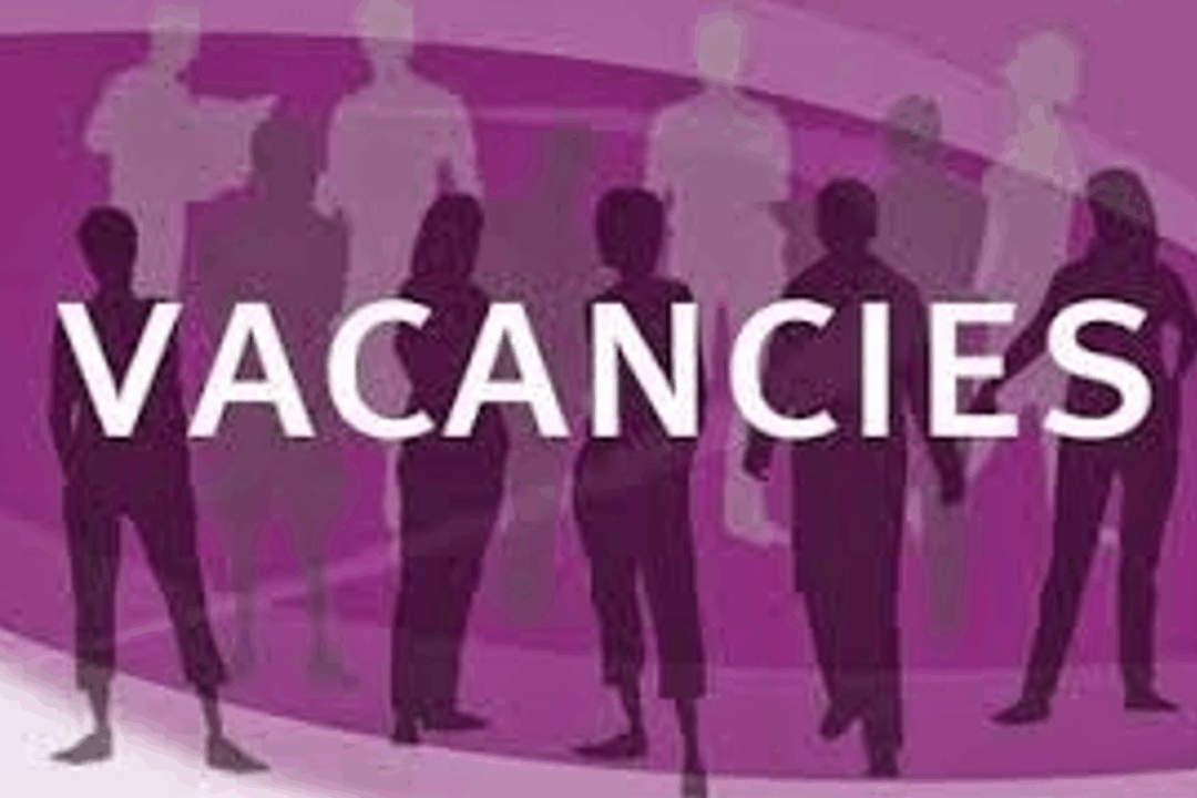 DSP VACANCIES – EUFA Vienna opens call for 3 positions