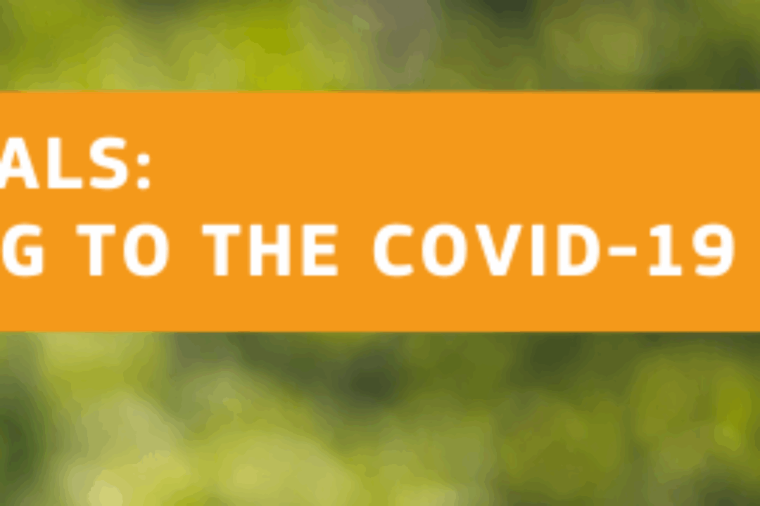 Call for proposals LIFE – new features relating to the COVID-19 pandemic