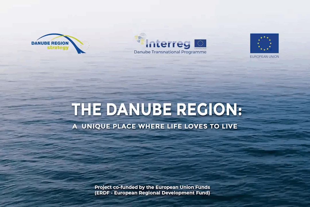 The Danube Region – a unique place where life loves to live