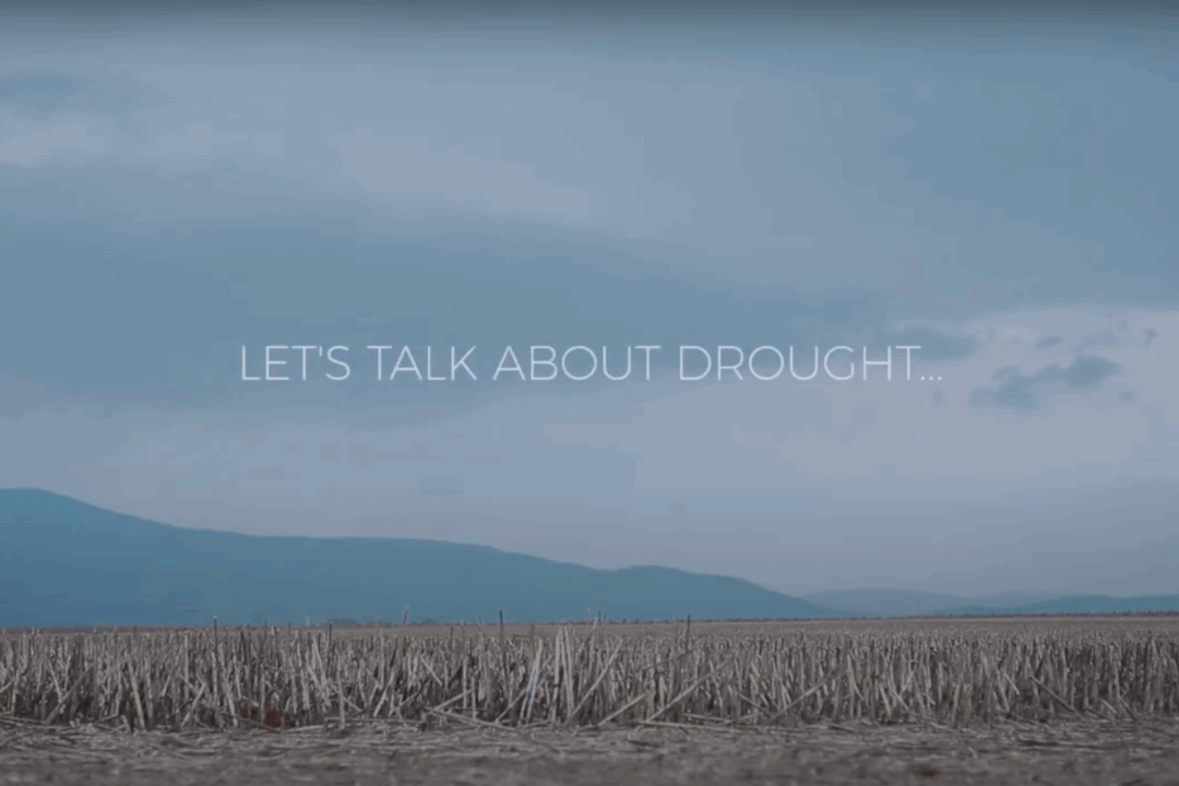 DriDanube – a step towards risk management