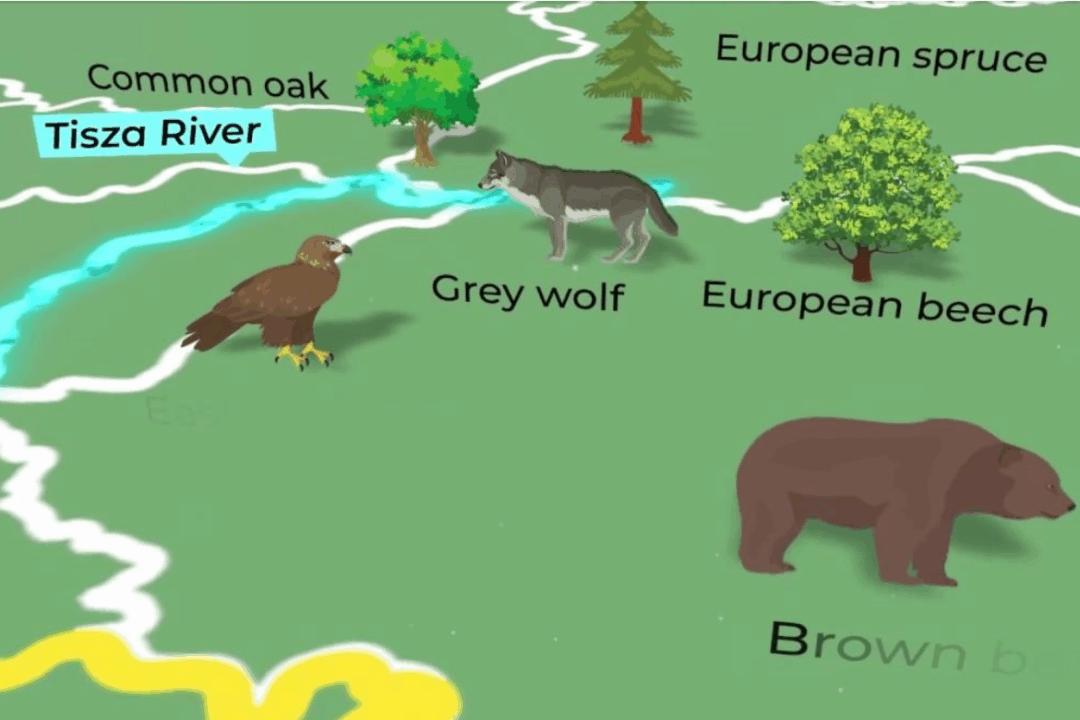 JOINTISZA: river basin management (RBM) and flood protection