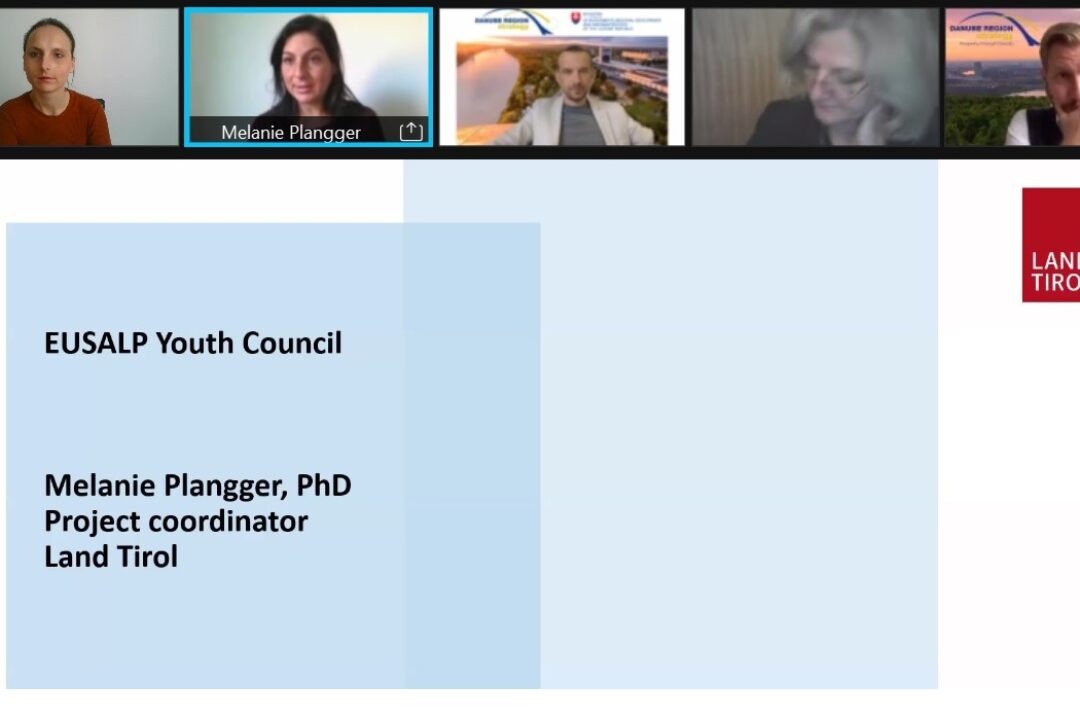 Danube Youth Council Task Force inspired by youth.shaping.EUSALP