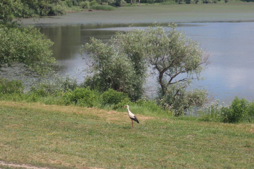 #EUSDR10 – Local administrations to counteract climate change impact