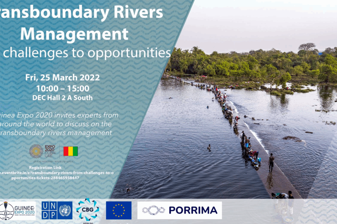 Priority Area 4 and the Danube Strategy Point at Guinee Expo 2020 in Dubai