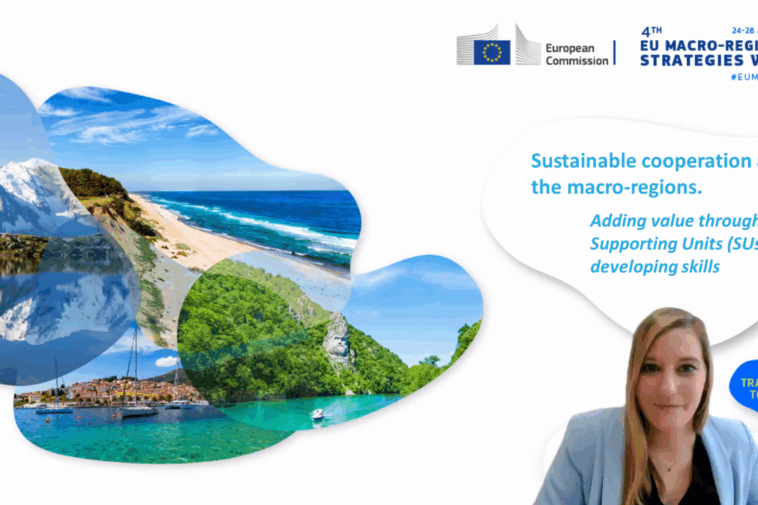 Sustainable cooperation across the macro-regions. Adding value through MRS SUs in developing skills