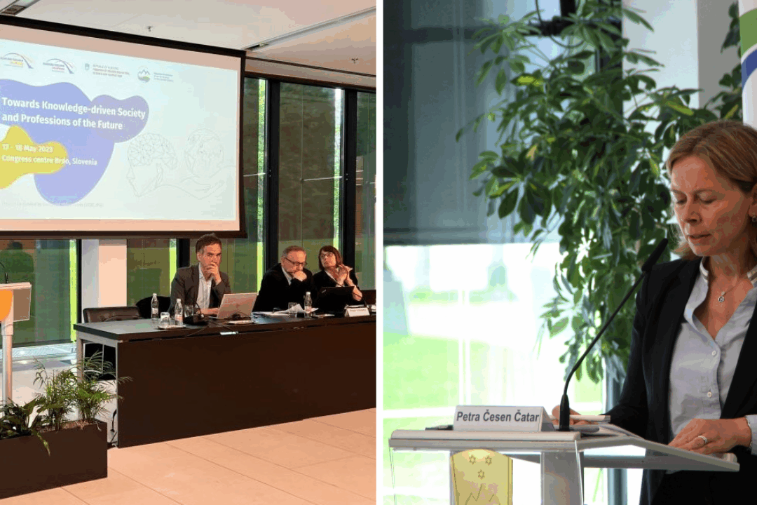 Conference: Towards knowledge-driven society and professions of the future