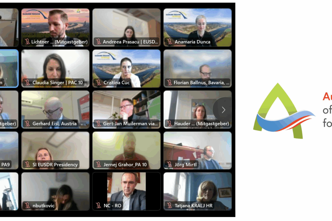 EUSDR Governance Development (online meeting)