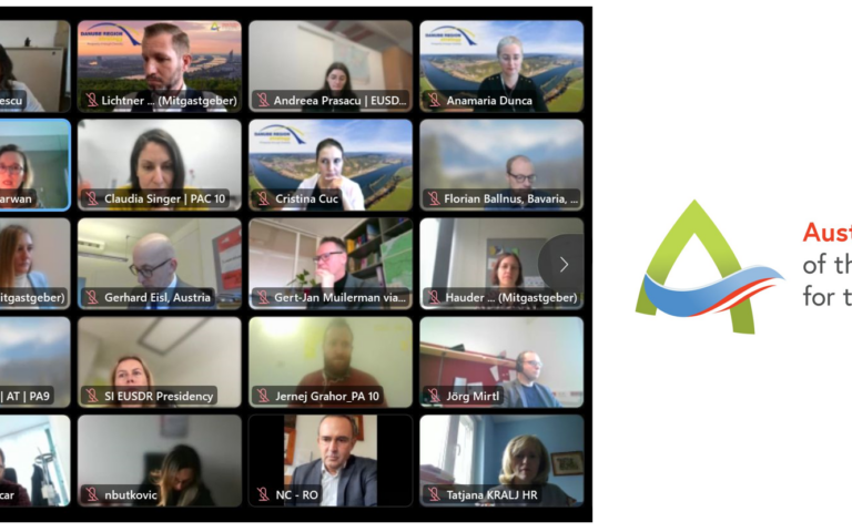 EUSDR Governance Development (online meeting)