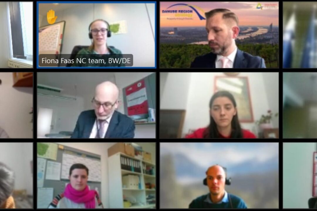 Interlinking DYON & DYC, the main topic of the Danube Youth Council Task Force meeting