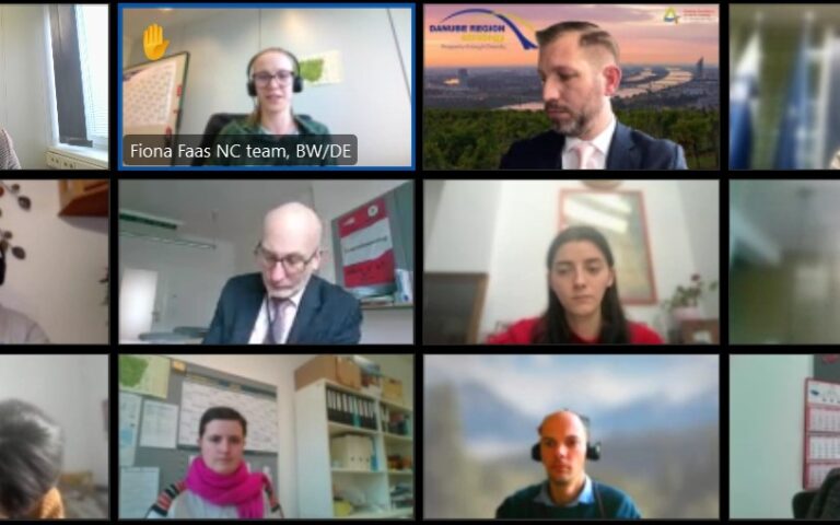 Interlinking DYON & DYC, the main topic of the Danube Youth Council Task Force meeting