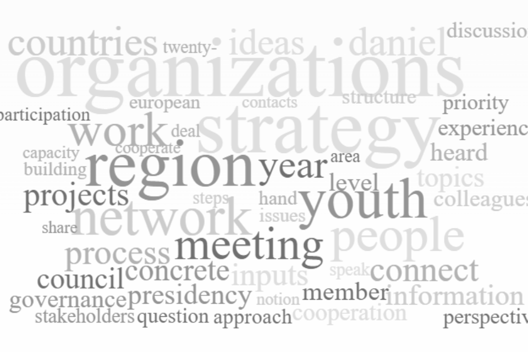 47 youth organisations from the Danube Region to be part of the Danube Youth Organisations Network (DYON)