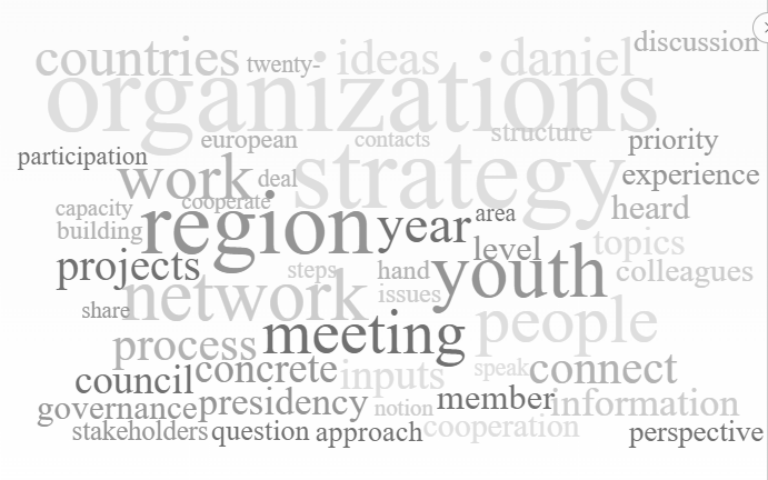 47 youth organisations from the Danube Region to be part of the Danube Youth Organisations Network (DYON)