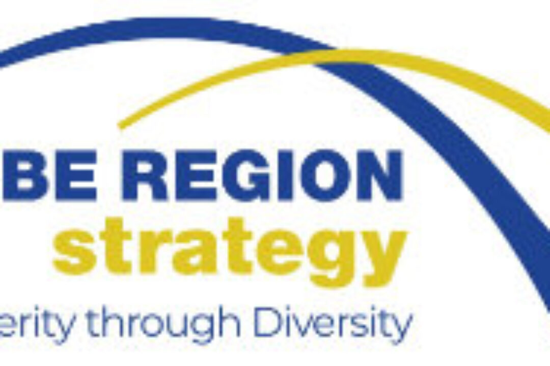 Job vacancy at Danube Strategy Point Vienna (maternity leave replacement)