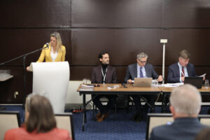 14th EUSDR Annual Forum (November 2025)