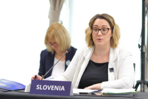 14th EUSDR Annual Forum (November 2025)