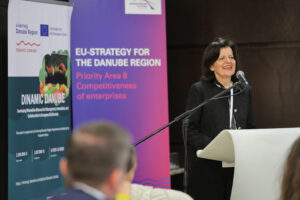 14th EUSDR Annual Forum (November 2025)