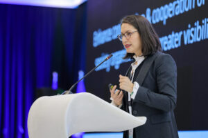 14th EUSDR Annual Forum (November 2025)