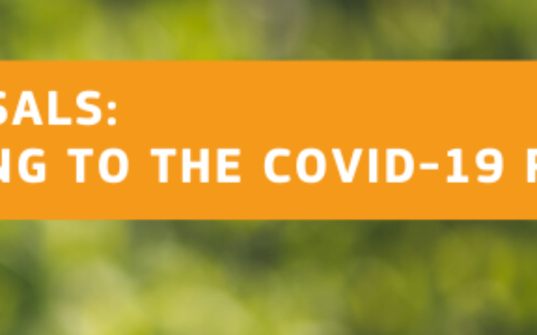 Call for proposals LIFE – new features relating to the COVID-19 pandemic